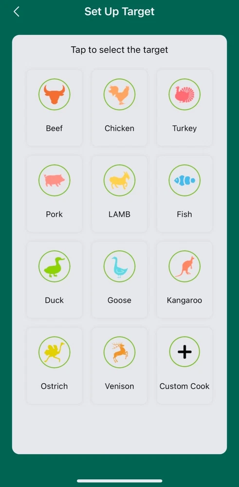 wireless meat thermometer probe