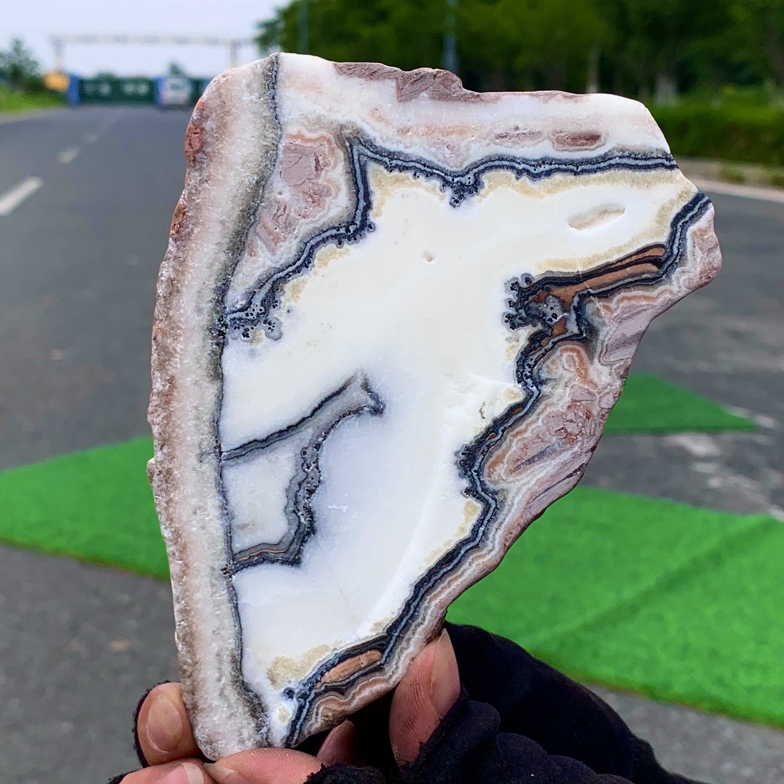 204G Natural Crazy Lace Agate Slab from Mexico - Polished Mineral Crystal Slice