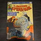 AMAZING SPIDER-MAN #205 (MARVEL COMICS JUN 1980) BLACK CAT!