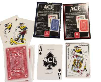 Magic Castle Vintage Deck V1 Cartamundi USA Printed Playing
