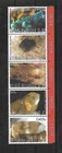 difirent stones