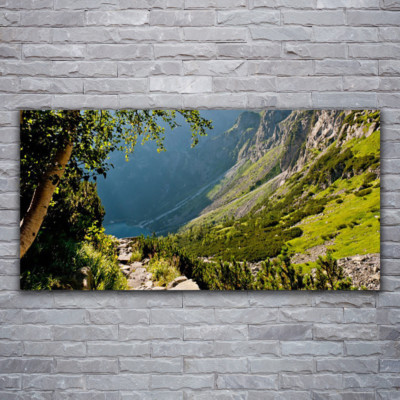 Acrylglasbilder Wandbilder Druck 120x60 Gebirge Wald Natur