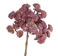 Artplants KüNstliche Sukkulente Sedum Danica, Dunkelrot, 20Cm, Ø 10Cm