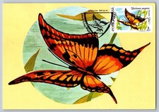 Romania 1991 Butterfly FDC Maxi Card w/FD on Back of 2nd Butterfly!