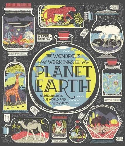 The Wondrous Workings of Planet Earth by Rachel Ignotofsky - 9780399580413