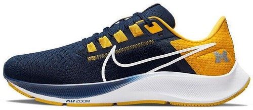 Size 15 Michigan Air Jordan Nike Zoom Code Elite 3/4 Shark  display picture 1