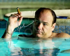 James Gandolfini Auto 8x10 Signed Soprano's Reprint Photo Tony Pool Cool Cigar