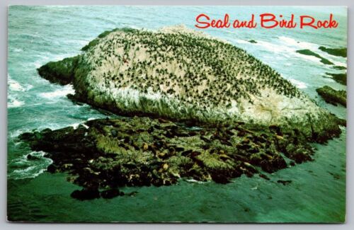 California Seal & Bird Rock landschaftlich reizvoll Küstenwahrzeichen Chrom UNP Postkarte - Bild 1 von 2