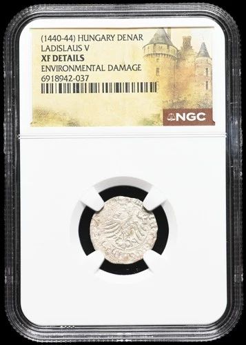 HUNGARY. Ladislaus V, 1440-1444. Silver Denar, Scarce, NGC XF Details