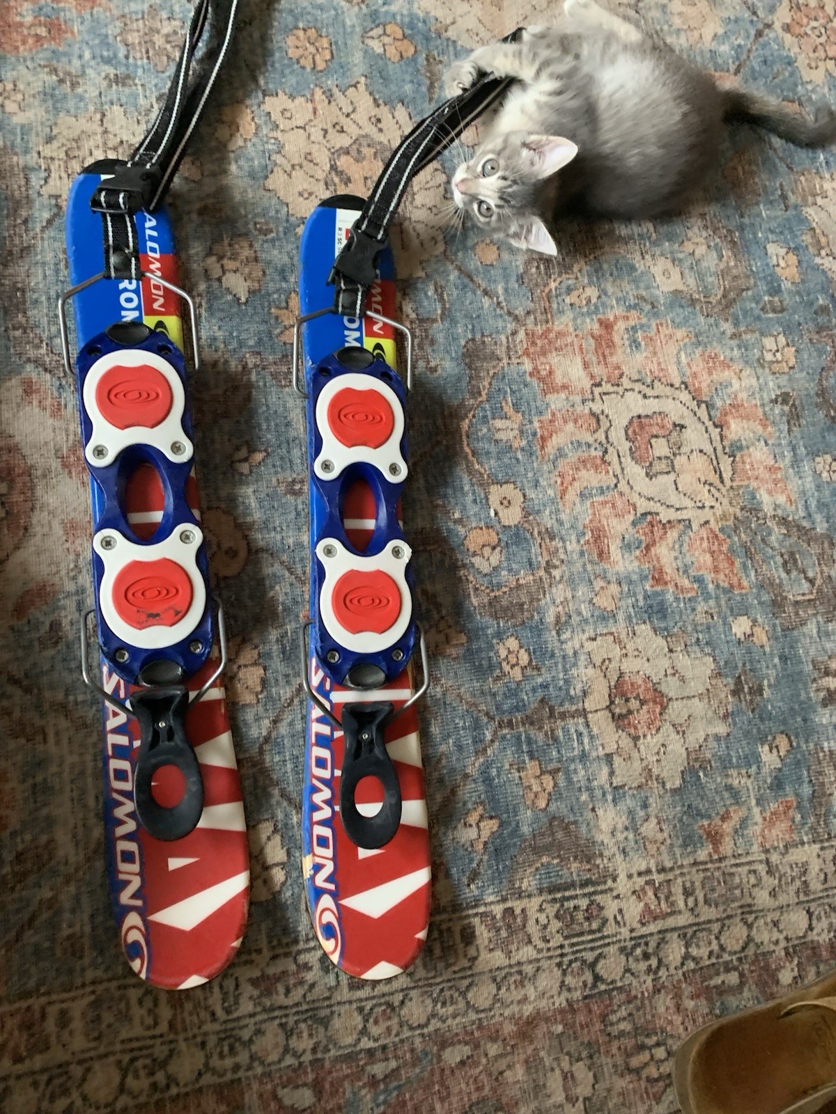 SALOMON GROM sci mini sci corto trick con guinzaglio ROSSO BIANCO BLU 61 cm