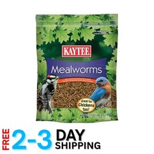 High-Protein Mealworms for Wild Birds - Attract Bluebirds, Cardinals  More