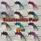 Tusoteuthis Pair ARK🦕 Survival Ascended ASA PVE PC/XBOX/PS