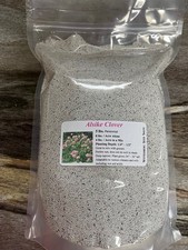 5 lbs Alsike Clover Seed - Deer Food Plot / Wildlife Seed