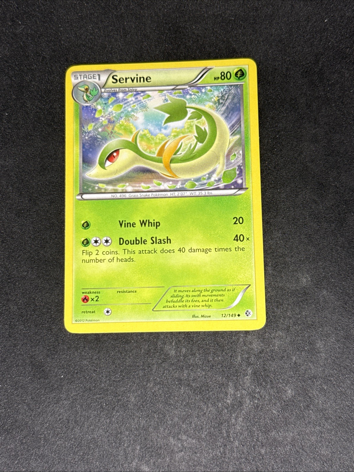 NM Servine 12/149 Boundaries Crossed Regular