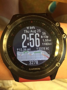 garmin fenix 3 used