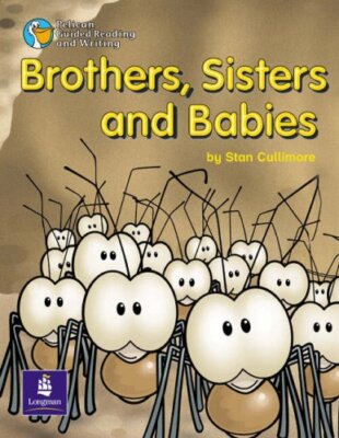 Brothers, Sisters and Babies! Year 2 (PELICAN GUIDED READING & W