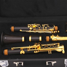 Clarinet Advanced Instruments C 17-Key Ebony Gold Plated Performance Grade