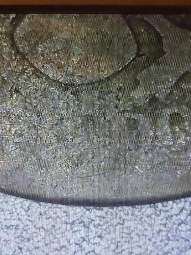 1896 S Barber Quarter AG