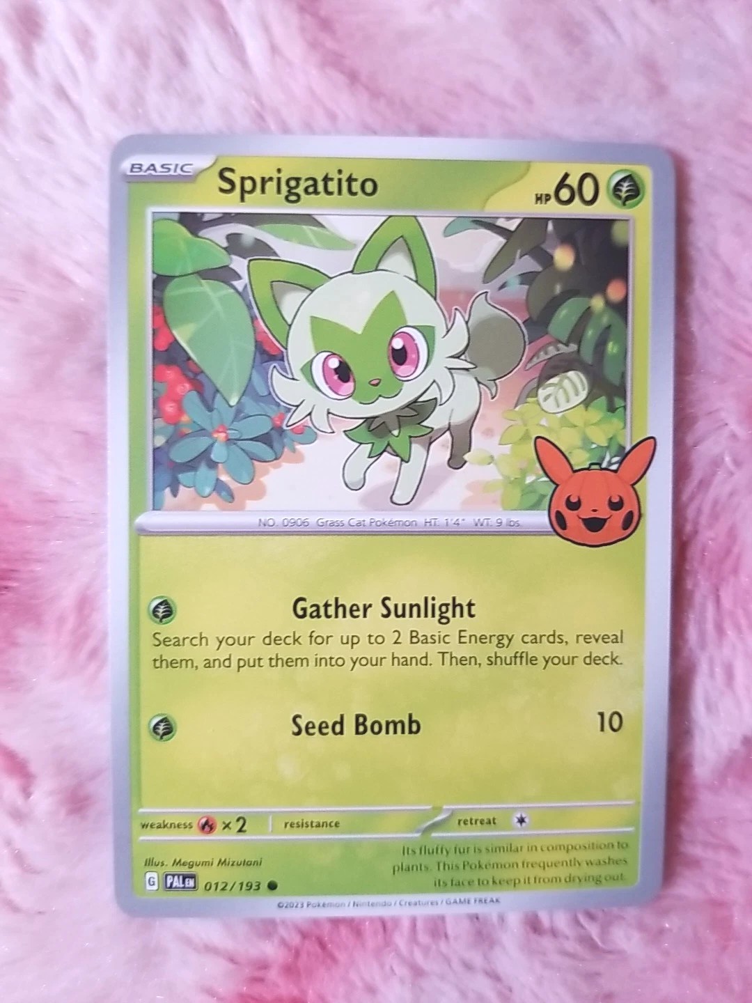 Pokemon Sprigatito #12/193 Trick or Trade 2024 Halloween Pumpkin Stamp TCG Card