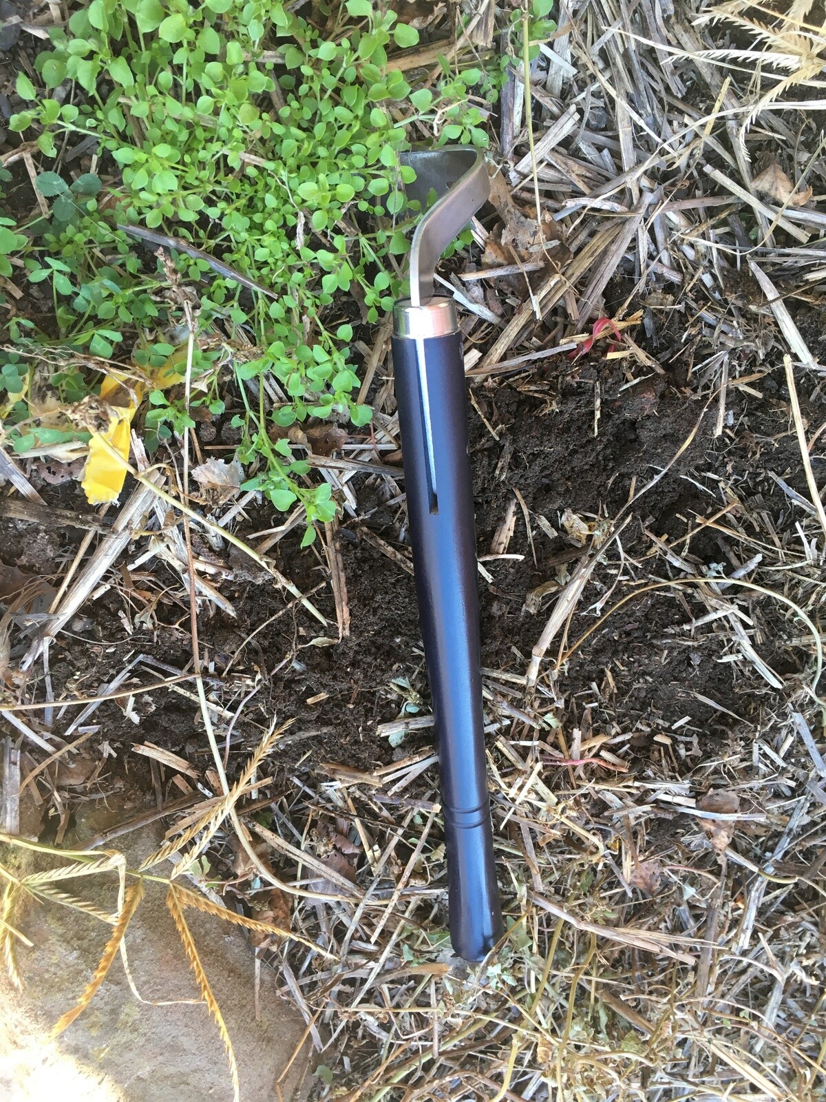 Picture 3 of 5