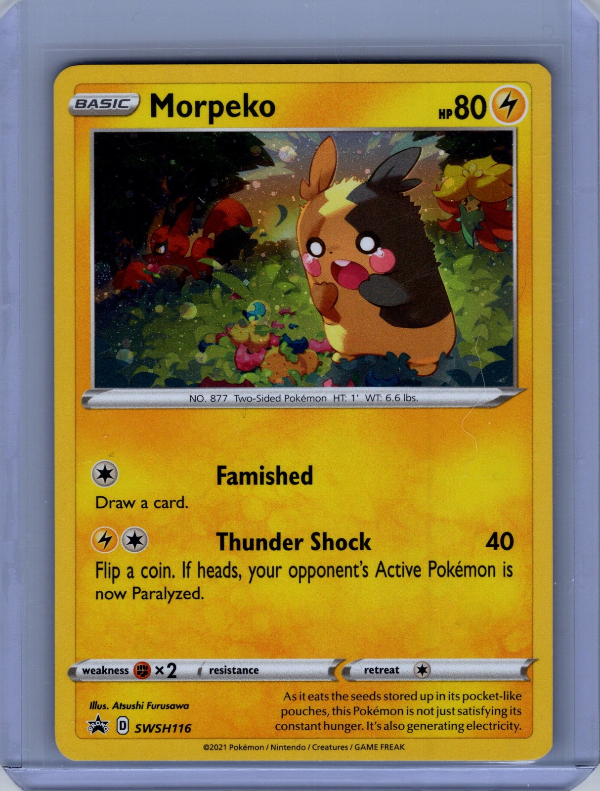Pokemon SWSH: Sword & Shield Promo Cards #SWSH116 Morpeko Near Mint or Better