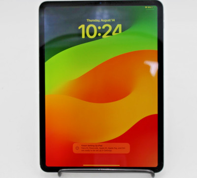 Apple iPad Pro 11-inch (2nd generation) A2228 128 GB Wi-Fi - Space Gray *SCREEN*