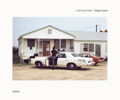 Nags Head Joel Sternfeld