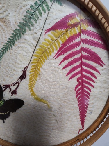 VTG Bamboo Round Butterfly MCM Fern Under Glass 11" Serving Tray Replacement - Picture 4 of 5