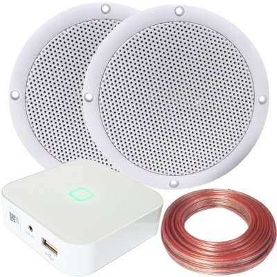 80 W Mini WiFi Stereo Verstärker & 2 x 80 W Badezimmer Decken Lautsprecher Audiosystem