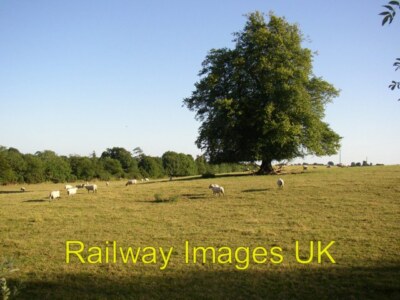 Foto - Fields at Old Ross Co. Wexford c2006