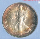 1992 Toned American Silver Eagle 1 oz Silver - Toning Bullion - KR788