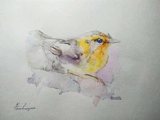 Golden-Crowned Kinglet, Watercolor artwork, Handmade, Original painting on paper