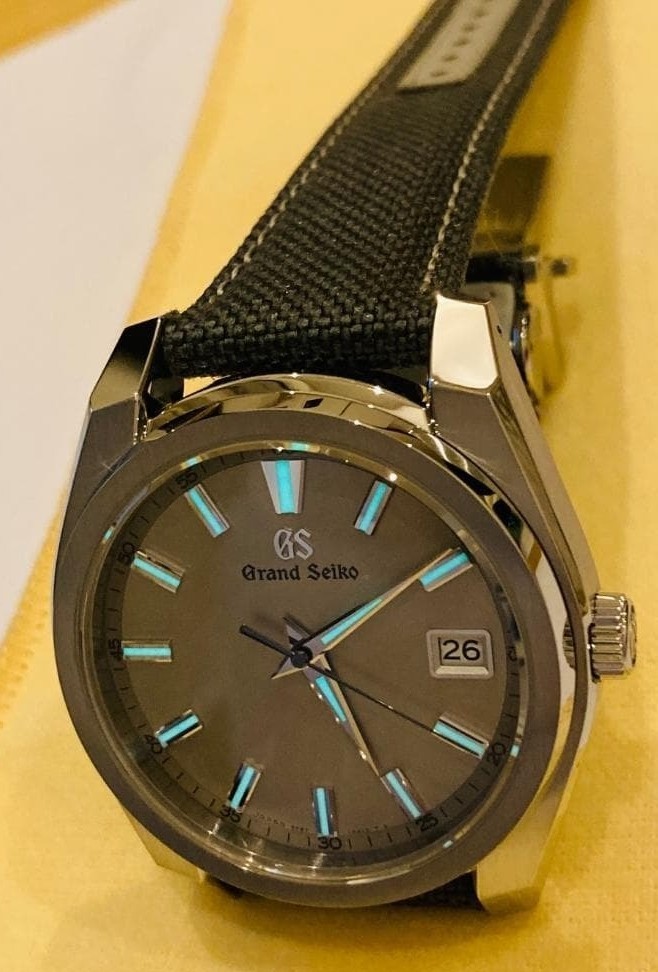 Grand Seiko SBGV245 Silver Gray Dial 40mm Quartz Nylon Strap Watch