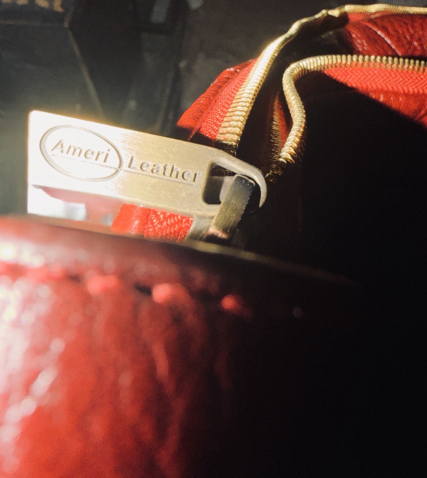 Ameri Leather - image 4