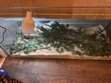 Vivarium 4’ X 22” X 2’.5”