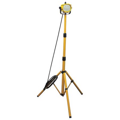 Zoro Select 24K353 Led Temporary Job Site Light (Formerly Lumapro), 24K353