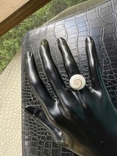 VTG Genuine Nautilus Shell Ring Size 6 Sterling Silver 925 Natural Seashell