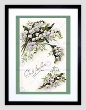 85165 VINTAGE BOTANICAL ILLUSTRATION FLOWERS NEW BLACK Decor Wall Print Poster