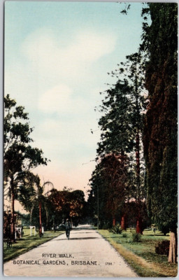 Botanical Gardens Brisbane Australia River Walk Edco Series Postcard H67