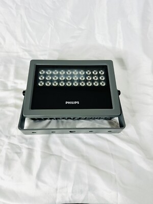 Philips 4000K Vaya Flood MP White And Mono 350-000008-25
