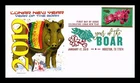 US COVER LUNAR NEW YEAR OF THE BOAR FDC PICTORIAL CANCEL PANDA CACHET