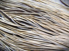 Sillín IFS 1/2 Badger Genetic Cock, hackle, capa, ala plana