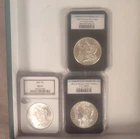 Morgan Silver Dollar Lot 1885 1888 1901 MS64/MS63/MS60 New Orleans Uncirculated