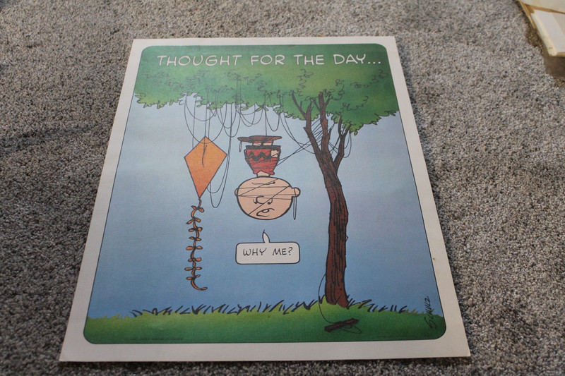 Rare VINTAGE PEANUTS Charlie Brown CHARLES SCHULTZ "THOUGHT FOR THE DAY, WHY ME"
