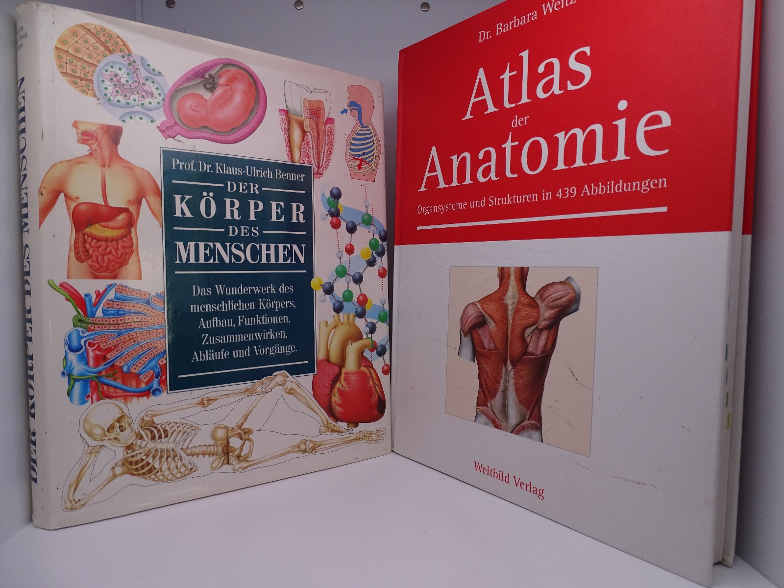 Atlas der Anatomi Organsysteme/ Der Körper Des Menschen 2 Buch Privat Verkauf