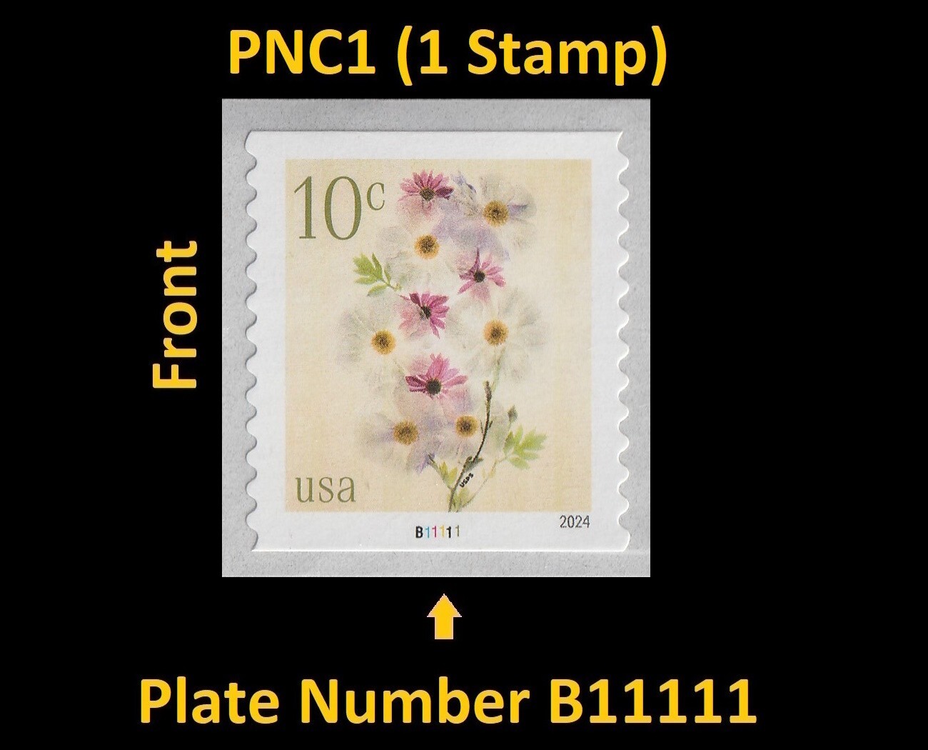 US 5906 Flowers Poppies & Coneflowers 10c PNC1 B11111 MNH 2024 | eBay