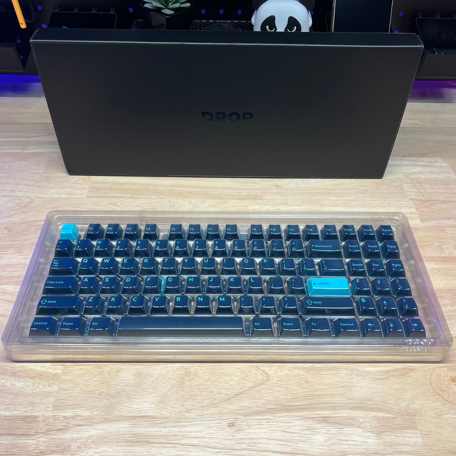 Foto 7 di 10