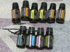 Lot of 10 15mL - ESSENTIAL OIL - ASSORTED EMPTY BOTTLES ONLY - Lot B