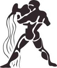 Aquarius 2 Astrology 1 Color Window Wall Vinyl Decal Sticker Printed