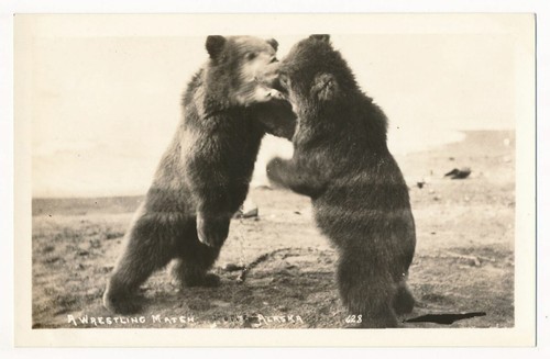 A Wrestling Match, Orsi Marrone, Alaska RPPC